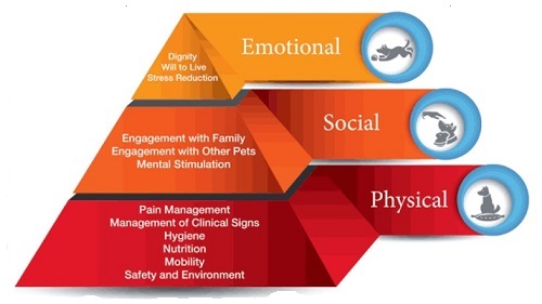 Pet Quality of life pyramid